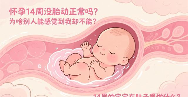 怀孕14周没胎动正常吗 为啥别人能感觉到我却不能