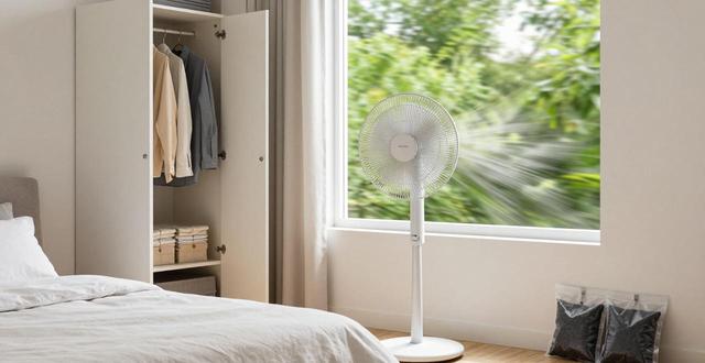 家里尿味太重怎么去除？教你彻底除味小妙招，告别氨气味