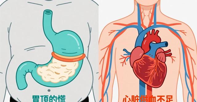 呼吸困难吃完饭更费劲_吃完饭感觉呼吸困难_呼吸困难吃饭后加重