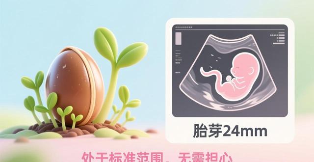 怀孕了63天做b操胎坯24mm正常吗_胎操声什么处理_胎儿体操的适宜时间为