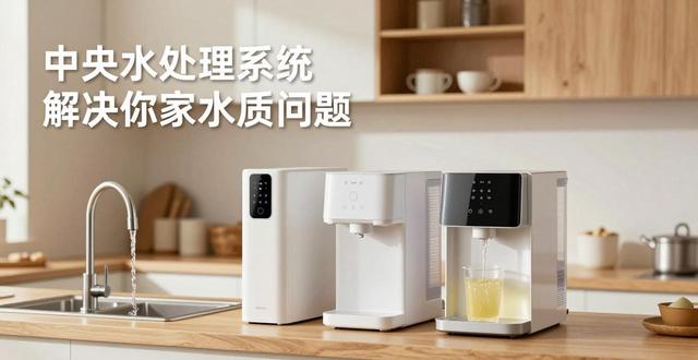 中央水处理系统有用吗_中央水处理系统布置图_中央水处理系统原理图