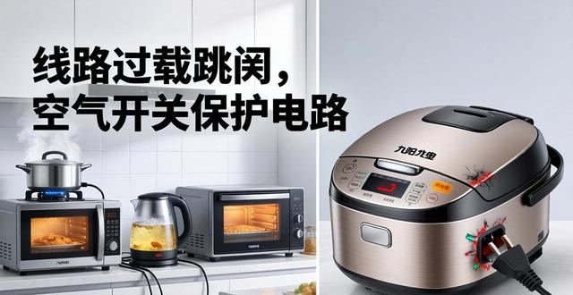 九阳电饭煲显示_九阳电饭煲报警10闪烁_九阳电饭煲故障表