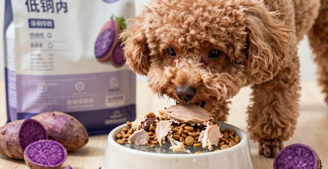 泰迪泪痕沟怎么去除_泰迪有泪痕怎么办_泰迪泪痕可以根治吗