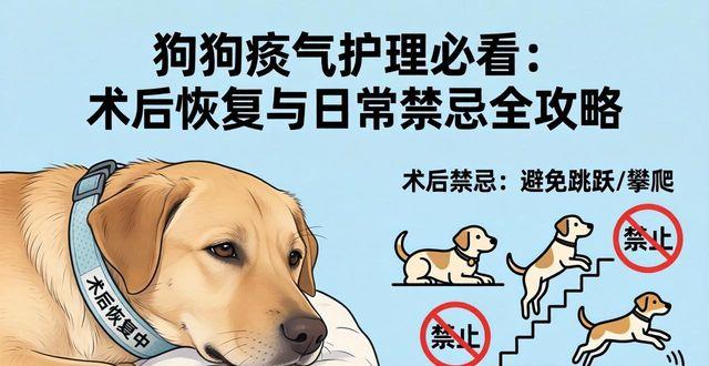 狗狗疝气的危害_狗狗疝气注意事项_狗狗有疝气注意什么