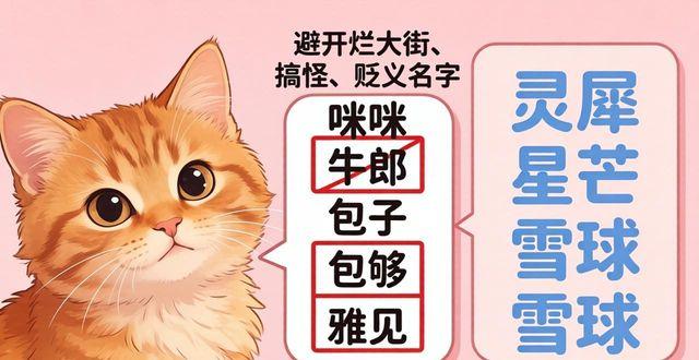 怎样给猫咪取名字既好听又吉祥？铲屎官必看2026最新命名技巧