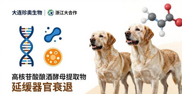 狗狗多大算大你家毛孩到老了吗