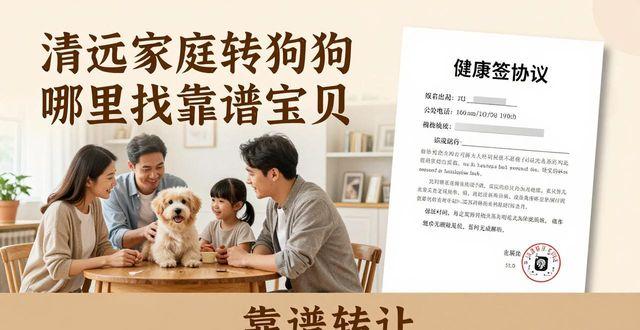 清远家庭转让狗狗 哪里找靠谱宝贝